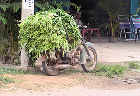 water_pump