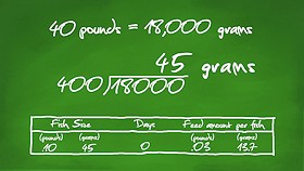 Calculating the amount of feed for fingerlings